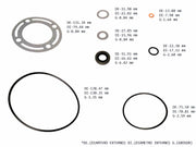 POWER STEERING PUMP SEAL KIT WITH METAL SEAL FORD - Suntransmissions