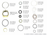 Power Steering Gear Seal Kit Big Ring Chevrolet Dodge GMC 1994/99