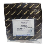 Power Steering Input Shaft Seal Kit Transtec RH Sheppard M-Series