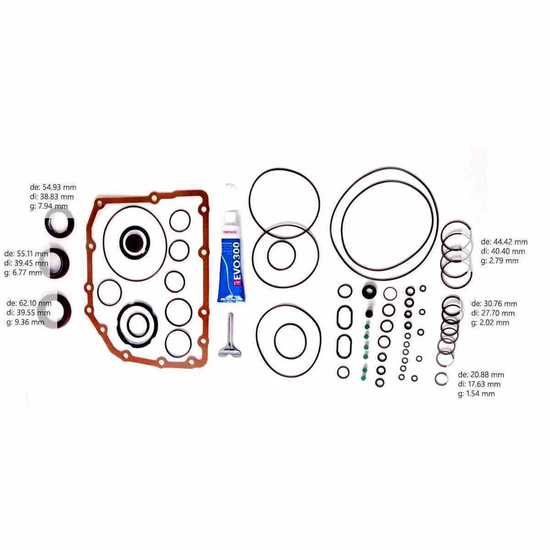 Overhaul Kit Transtec with Pistons TF-72SC AWF6F25 2013/UP