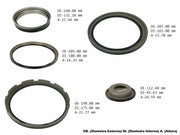 Piston Kit Gen 2 Transtec 6T35 6T40 6T45 2012/UP