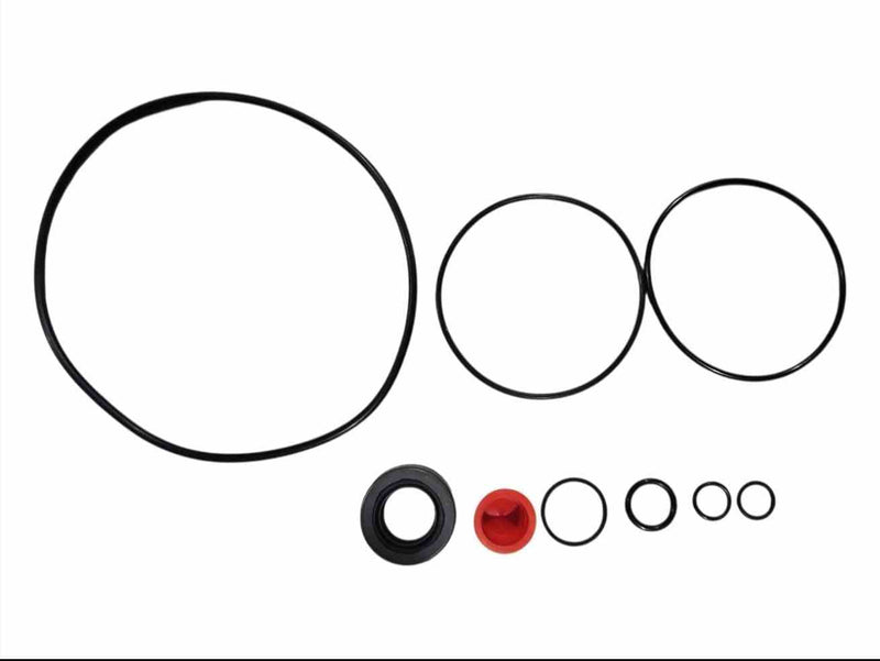Power Steering Pump Seal Kit Transtec Saginaw Medium Duty Pump