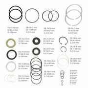 Complete Gear Seal Kit Transtec Saginaw 710 Dual Piston Metric 