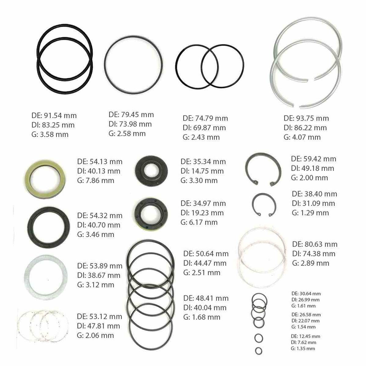 Complete Gear Seal Kit Transtec Saginaw 710 Dual Piston Metric — Sun