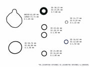 Power Steering Pump Seal Kit Kia Rio 