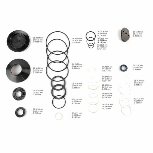 Complete Gear Seal Kit Transtec ZF 8090 