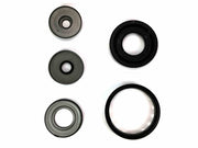 Overhaul Kit Transtec with Pistons 6L80 MYC