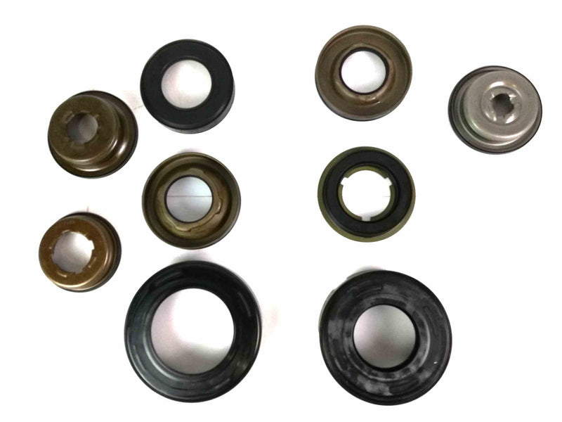 Piston Kit (9) Ford FNR5 