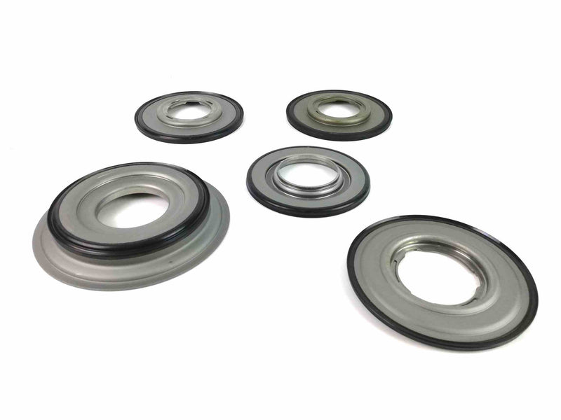 Overhaul Kit Transtec with Pistons 09G TF-60SN