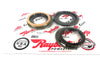 FRICTION PACK RAYBESTOS 62TE - Suntransmissions