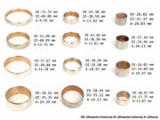 Bushing Kit (12) 45RFE 5-45RFE 