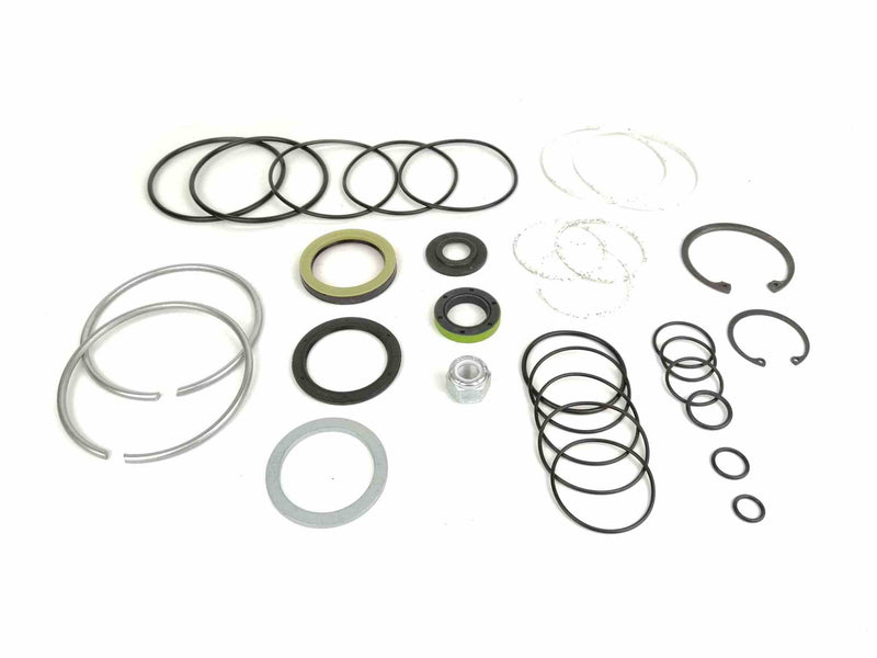 Complete Gear Seal Kit Transtec Saginaw 710 Dual Piston Metric 