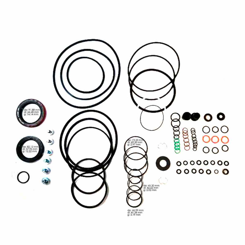Overhaul Kit without Pistons 1000 2000 2400 LT100 LT2000 LT2400 2000/09