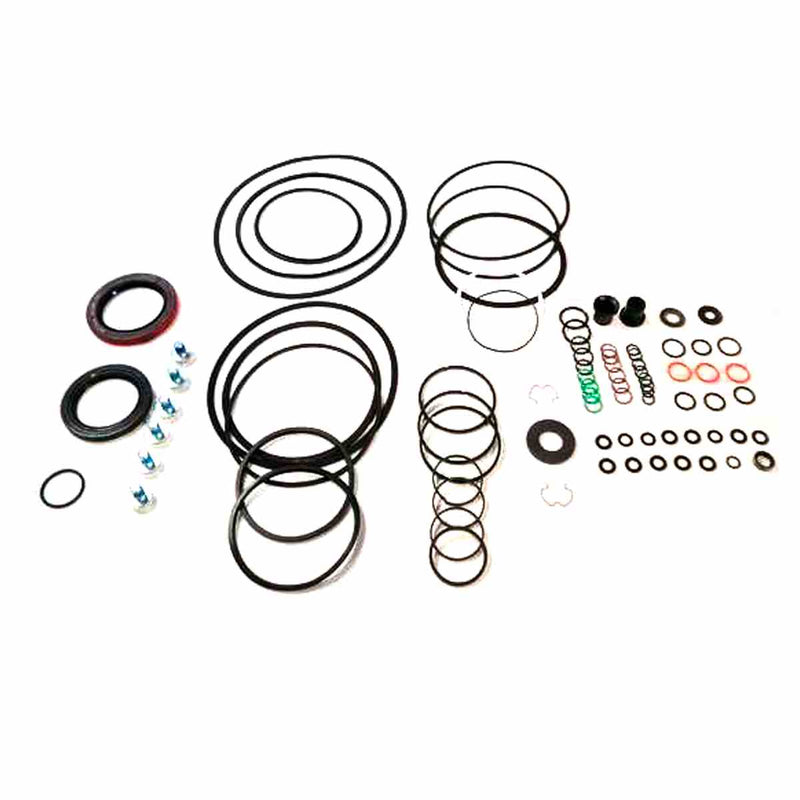 Overhaul Kit without Pistons 1000 2000 2400 LT100 LT2000 LT2400 2000/09